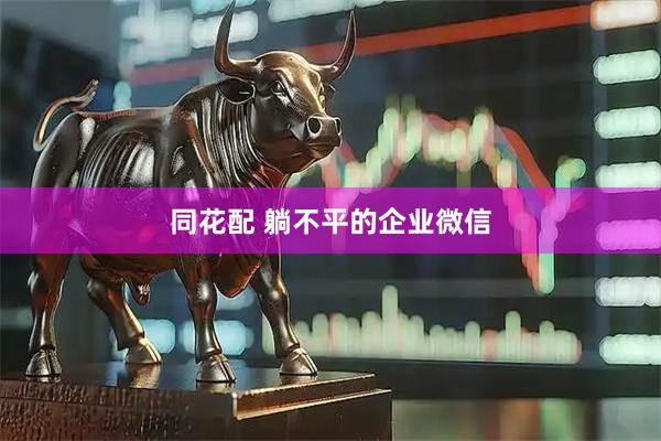 同花配 躺不平的企业微信