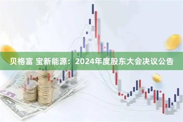 贝格富 宝新能源：2024年度股东大会决议公告