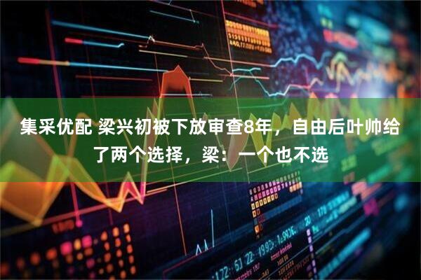 集采优配 梁兴初被下放审查8年，自由后叶帅给了两个选择，梁：一个也不选