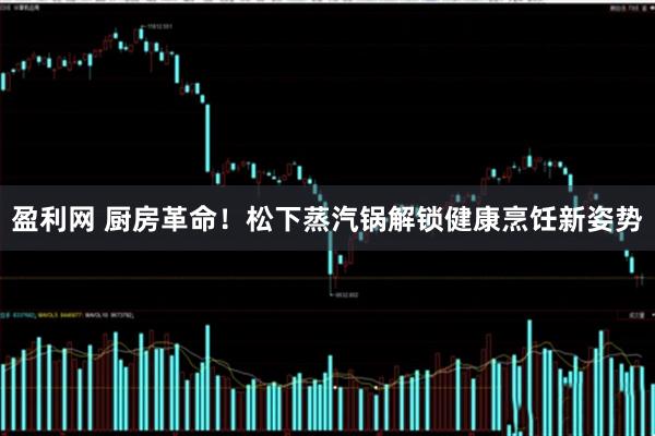 盈利网 厨房革命！松下蒸汽锅解锁健康烹饪新姿势